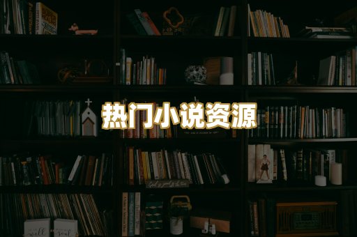热门小说资源