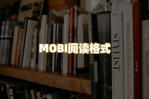 MOBI阅读格式